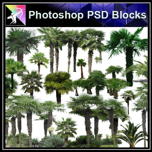 【Photoshop PSD Blocks】Landscape Tree PSD Blocks 6 - Architecture Autocad Blocks,CAD Details,CAD Drawings,3D Models,PSD,Vector,Sketchup Download