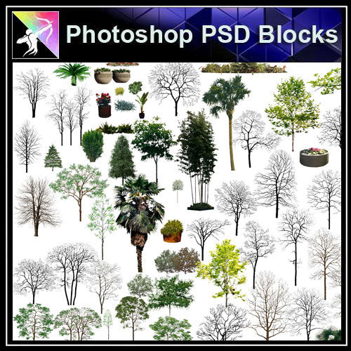 【Photoshop PSD Blocks】Landscape Tree PSD Blocks 19 - Architecture Autocad Blocks,CAD Details,CAD Drawings,3D Models,PSD,Vector,Sketchup Download