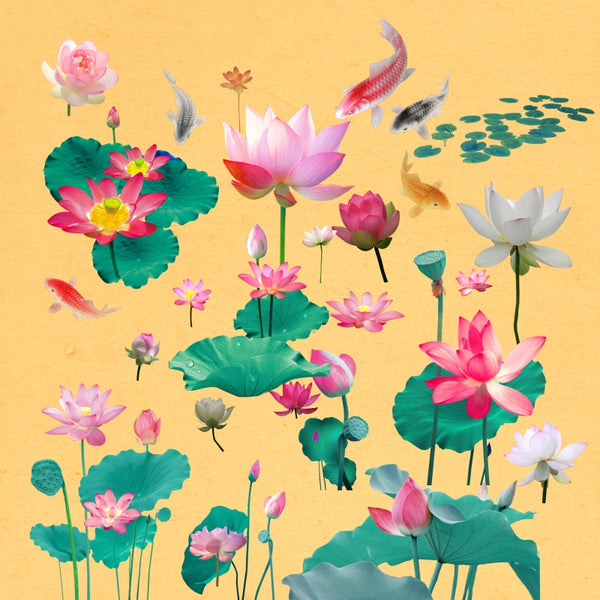★★Vintage "Lotus" PNG + JPG Images, Vintage Flower Clipart "Lotus" Digital Download Art for Invitations, Scrapbook, Prints,Crafts..