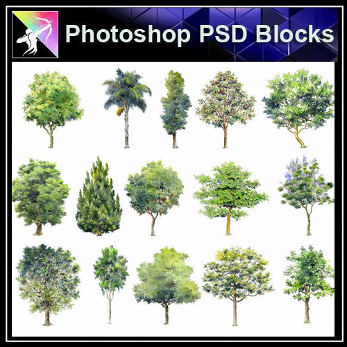 【Photoshop PSD Landscape Blocks】Hand-painted Tree Blocks 2 - Architecture Autocad Blocks,CAD Details,CAD Drawings,3D Models,PSD,Vector,Sketchup Download