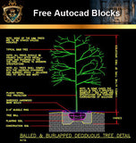 ★Free CAD Details-Deciduous Tree Detail - Architecture Autocad Blocks,CAD Details,CAD Drawings,3D Models,PSD,Vector,Sketchup Download