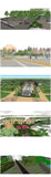 💎【Sketchup Architecture 3D Projects】20 Types of Park Landscape Sketchup 3D Models V1 - Architecture Autocad Blocks,CAD Details,CAD Drawings,3D Models,PSD,Vector,Sketchup Download