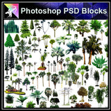 【Photoshop PSD Blocks】Landscape Tree PSD Blocks 3 - Architecture Autocad Blocks,CAD Details,CAD Drawings,3D Models,PSD,Vector,Sketchup Download