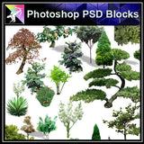 【Photoshop PSD Blocks】Landscape Tree PSD Blocks 8 - Architecture Autocad Blocks,CAD Details,CAD Drawings,3D Models,PSD,Vector,Sketchup Download