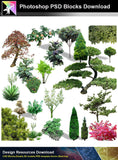 【Photoshop PSD Blocks】Landscape Tree PSD Blocks 8 - Architecture Autocad Blocks,CAD Details,CAD Drawings,3D Models,PSD,Vector,Sketchup Download