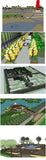 ★Best 15 Types of Plaza Landscape Sketchup 3D Models Collection V.3 - Architecture Autocad Blocks,CAD Details,CAD Drawings,3D Models,PSD,Vector,Sketchup Download