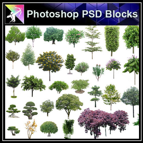 【Photoshop PSD Blocks】Landscape Tree PSD Blocks 4 - Architecture Autocad Blocks,CAD Details,CAD Drawings,3D Models,PSD,Vector,Sketchup Download