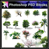 【Photoshop PSD Blocks】Landscape Tree PSD Blocks 10 - Architecture Autocad Blocks,CAD Details,CAD Drawings,3D Models,PSD,Vector,Sketchup Download