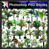 【Photoshop PSD Blocks】Landscape Tree PSD Blocks 5 - Architecture Autocad Blocks,CAD Details,CAD Drawings,3D Models,PSD,Vector,Sketchup Download
