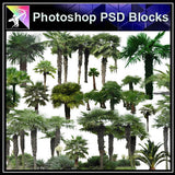 【Photoshop PSD Blocks】Landscape Tree PSD Blocks 6 - Architecture Autocad Blocks,CAD Details,CAD Drawings,3D Models,PSD,Vector,Sketchup Download