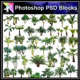 【Photoshop PSD Blocks】Landscape Tree PSD Blocks 7 - Architecture Autocad Blocks,CAD Details,CAD Drawings,3D Models,PSD,Vector,Sketchup Download