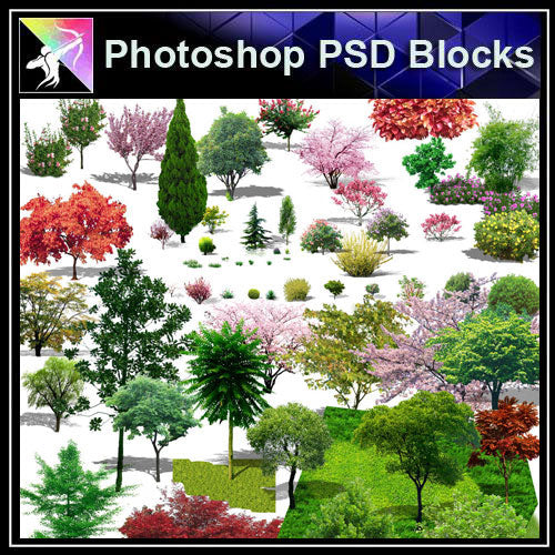 【Photoshop PSD Blocks】Landscape Tree PSD Blocks 11 - Architecture Autocad Blocks,CAD Details,CAD Drawings,3D Models,PSD,Vector,Sketchup Download