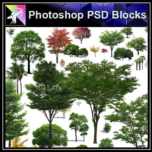 【Photoshop PSD Blocks】Landscape Tree PSD Blocks 13 - Architecture Autocad Blocks,CAD Details,CAD Drawings,3D Models,PSD,Vector,Sketchup Download