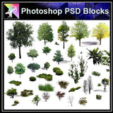 【Photoshop PSD Blocks】Landscape Tree PSD Blocks 17 - Architecture Autocad Blocks,CAD Details,CAD Drawings,3D Models,PSD,Vector,Sketchup Download