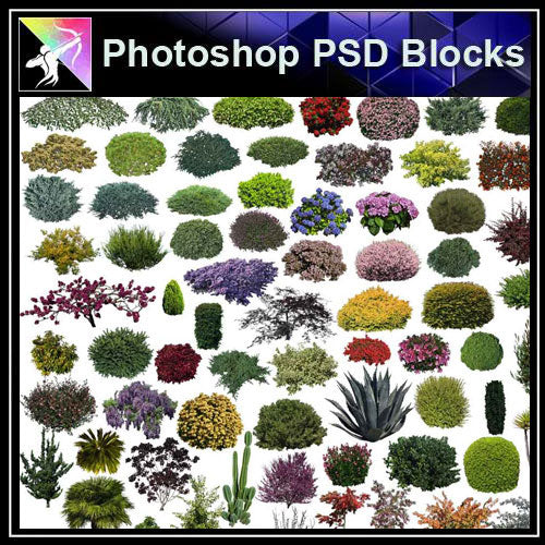 【Photoshop PSD Blocks】Landscape Tree PSD Blocks 18 - Architecture Autocad Blocks,CAD Details,CAD Drawings,3D Models,PSD,Vector,Sketchup Download