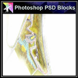 Photoshop PSD Landscape Layout Design Concept V.1 - Architecture Autocad Blocks,CAD Details,CAD Drawings,3D Models,PSD,Vector,Sketchup Download