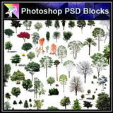 【Photoshop PSD Blocks】Landscape Tree PSD Blocks 20 - Architecture Autocad Blocks,CAD Details,CAD Drawings,3D Models,PSD,Vector,Sketchup Download