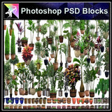 ★Photoshop PSD Blocks-Flower,Tree PSD Blocks 2 - Architecture Autocad Blocks,CAD Details,CAD Drawings,3D Models,PSD,Vector,Sketchup Download