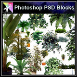 ★Photoshop PSD Blocks-Tree elevation PSD Blocks - Architecture Autocad Blocks,CAD Details,CAD Drawings,3D Models,PSD,Vector,Sketchup Download