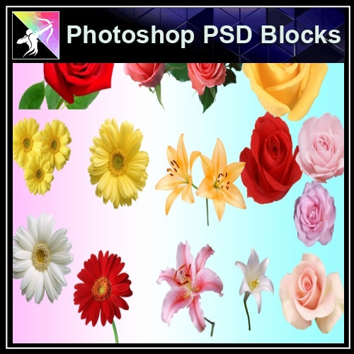 ★Photoshop PSD Decorative Elements-Lose Flower V.1 - Architecture Autocad Blocks,CAD Details,CAD Drawings,3D Models,PSD,Vector,Sketchup Download