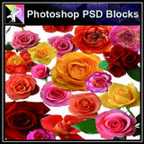 ★Photoshop PSD Decorative Elements-Lose Flower V.2 - Architecture Autocad Blocks,CAD Details,CAD Drawings,3D Models,PSD,Vector,Sketchup Download