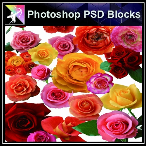 ★Photoshop PSD Decorative Elements-Lose Flower V.2 - Architecture Autocad Blocks,CAD Details,CAD Drawings,3D Models,PSD,Vector,Sketchup Download