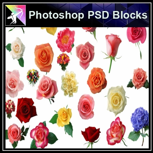 ★Photoshop PSD Decorative Elements-Lose Flower V.3 - Architecture Autocad Blocks,CAD Details,CAD Drawings,3D Models,PSD,Vector,Sketchup Download