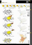 ★Free Download Best Architecture Presentation Ideas V.9 - Architecture Autocad Blocks,CAD Details,CAD Drawings,3D Models,PSD,Vector,Sketchup Download