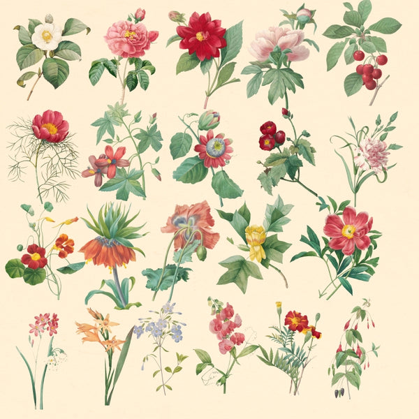 ★★Vintage "Flower" PNG + JPG Images, Vintage Flower Clipart "Flower" Digital Download Art for Invitations, Scrapbook, Prints,Crafts..