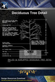 【Roof Details】Free Deciduous Tree Detail - Architecture Autocad Blocks,CAD Details,CAD Drawings,3D Models,PSD,Vector,Sketchup Download