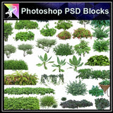 ★Photoshop PSD Landscape Blocks-Trees Blocks V.1 - Architecture Autocad Blocks,CAD Details,CAD Drawings,3D Models,PSD,Vector,Sketchup Download