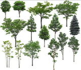 ★Photoshop PSD Landscape Blocks-Trees Blocks V.5 - Architecture Autocad Blocks,CAD Details,CAD Drawings,3D Models,PSD,Vector,Sketchup Download