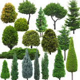 ★Photoshop PSD Landscape Blocks-Trees Blocks V.11 - Architecture Autocad Blocks,CAD Details,CAD Drawings,3D Models,PSD,Vector,Sketchup Download