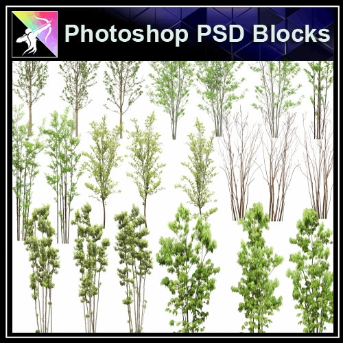 ★Photoshop PSD Landscape Blocks-Trees Blocks V.12 - Architecture Autocad Blocks,CAD Details,CAD Drawings,3D Models,PSD,Vector,Sketchup Download