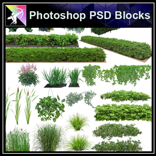 ★Photoshop PSD Landscape Blocks-Trees Blocks V.7 - Architecture Autocad Blocks,CAD Details,CAD Drawings,3D Models,PSD,Vector,Sketchup Download
