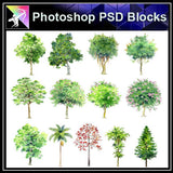 【Photoshop PSD Landscape Blocks】Hand-painted Tree Blocks - Architecture Autocad Blocks,CAD Details,CAD Drawings,3D Models,PSD,Vector,Sketchup Download