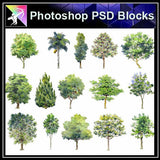 【Photoshop PSD Landscape Blocks】Hand-painted Tree Blocks 2 - Architecture Autocad Blocks,CAD Details,CAD Drawings,3D Models,PSD,Vector,Sketchup Download