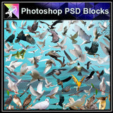 【Photoshop PSD Blocks】Bird PSD Blocks - Architecture Autocad Blocks,CAD Details,CAD Drawings,3D Models,PSD,Vector,Sketchup Download