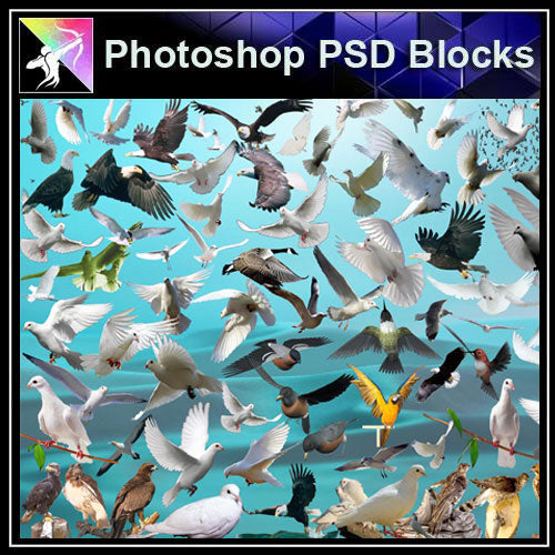 【Photoshop PSD Blocks】Bird PSD Blocks - Architecture Autocad Blocks,CAD Details,CAD Drawings,3D Models,PSD,Vector,Sketchup Download