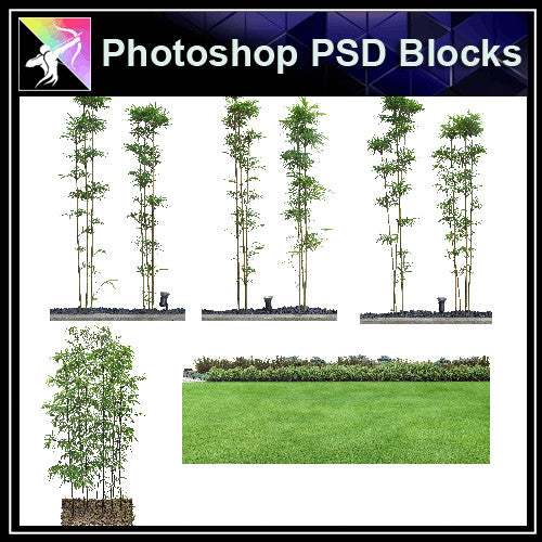 ★Photoshop PSD Landscape Blocks-Trees & Bushes Blocks V.6 - Architecture Autocad Blocks,CAD Details,CAD Drawings,3D Models,PSD,Vector,Sketchup Download