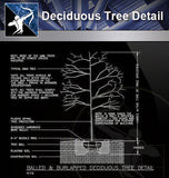 【Roof Details】Free Deciduous Tree Detail - Architecture Autocad Blocks,CAD Details,CAD Drawings,3D Models,PSD,Vector,Sketchup Download