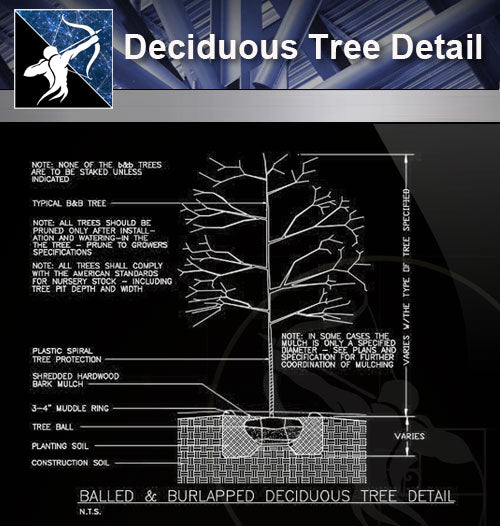 【Roof Details】Free Deciduous Tree Detail - Architecture Autocad Blocks,CAD Details,CAD Drawings,3D Models,PSD,Vector,Sketchup Download