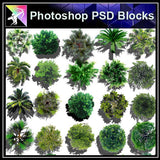 【Photoshop PSD Landscape Blocks】Landscape Tree Blocks 3 - Architecture Autocad Blocks,CAD Details,CAD Drawings,3D Models,PSD,Vector,Sketchup Download