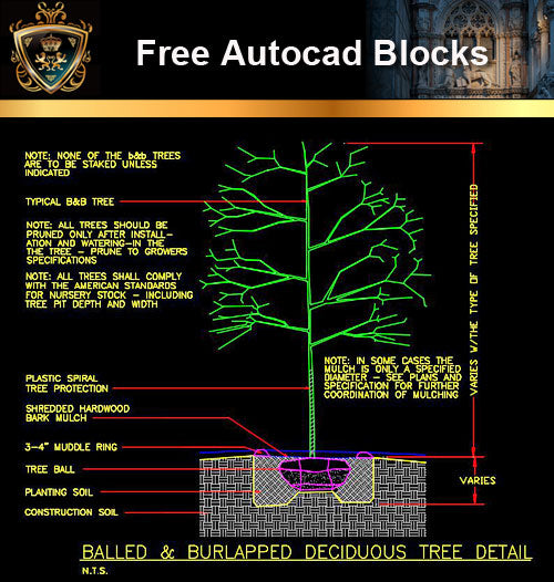 ★Free CAD Details-Deciduous Tree Detail - Architecture Autocad Blocks,CAD Details,CAD Drawings,3D Models,PSD,Vector,Sketchup Download