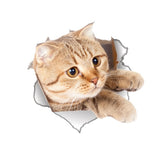 Vinyl waterproof Cat Dog 3D Wall Sticker Hole View Bathroom Toilet Living Room Home Decor Decal Poster Background Wall Stickers