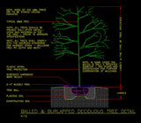 ★Free CAD Details-Deciduous Tree Detail - Architecture Autocad Blocks,CAD Details,CAD Drawings,3D Models,PSD,Vector,Sketchup Download