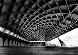 【World Famous Architecture CAD Drawings】 PalaLottomatica-Pier Luigi Nervi-Palazzo dello Sport o PalaLottomatica (PalaEUR) - Architecture Autocad Blocks,CAD Details,CAD Drawings,3D Models,PSD,Vector,Sketchup Download
